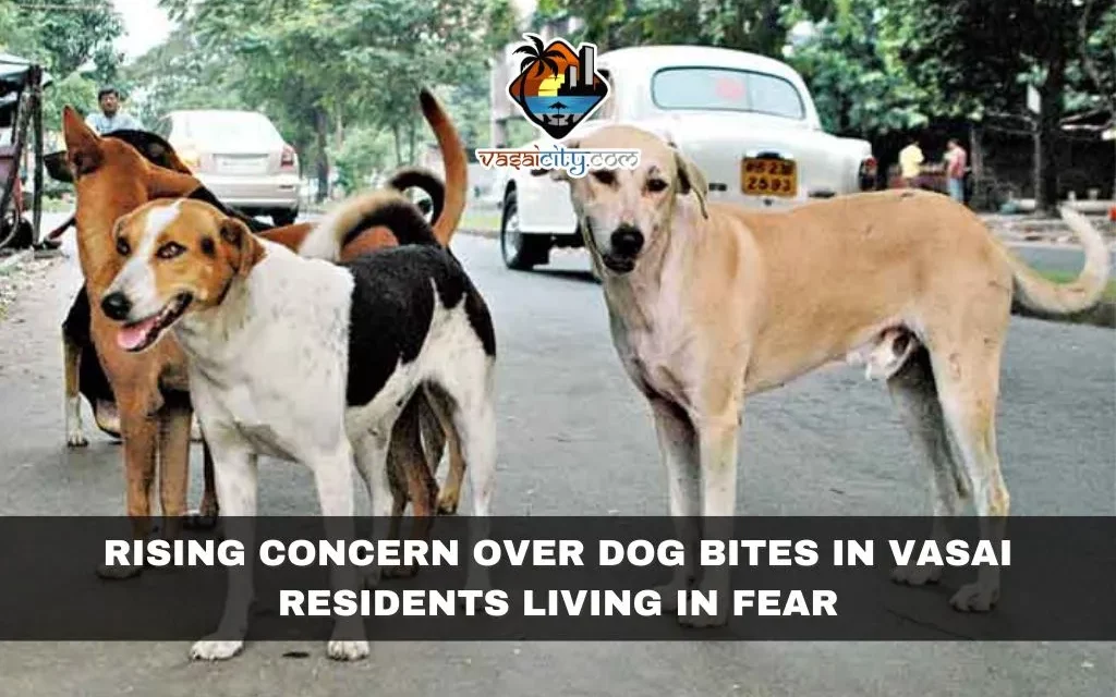 Rising Concern Over Dog Bites in Vasai: Residents Living in Fear