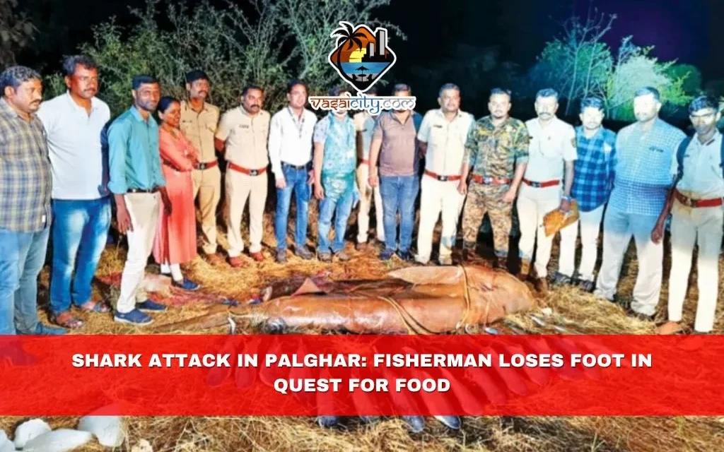 Shark Attack in Palghar: Fisherman Loses Foot in Quest for Food