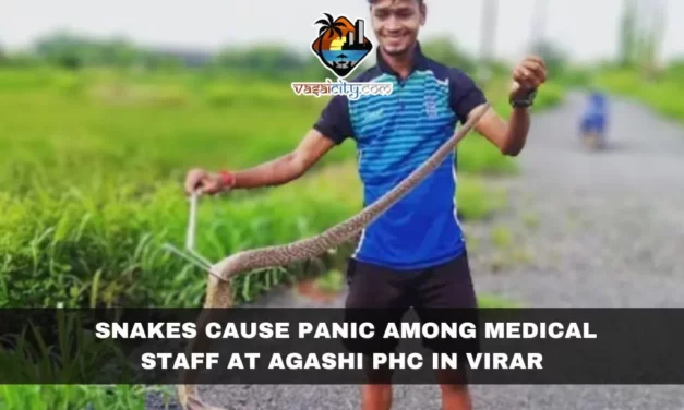 Snakes Cause Panic Among Medical Staff at Agashi PHC in Virar