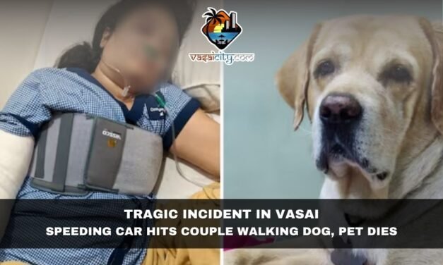 Tragic Incident in Vasai: Speeding Car Hits Couple Walking Dog, Pet Dies