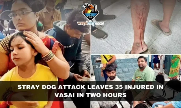 Stray Dog Attack Leaves 35 Injured in Vasai in Two Hours