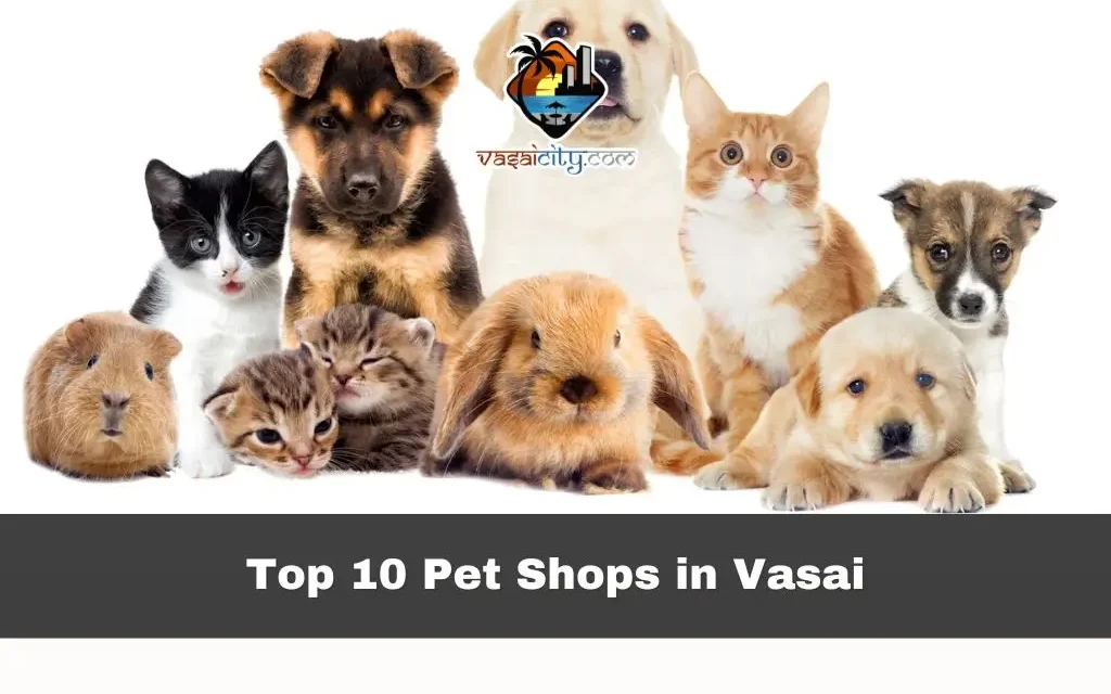 Top 10 Pet Shops in Vasai