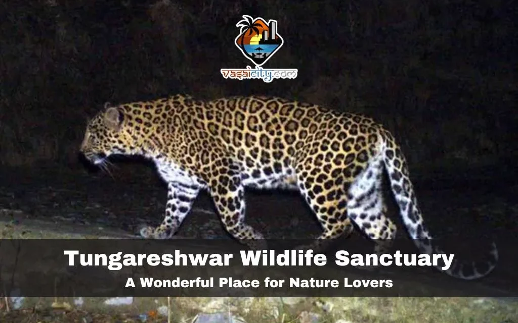 Tungareshwar Wildlife Sanctuary: A Wonderful Place for Nature Lovers