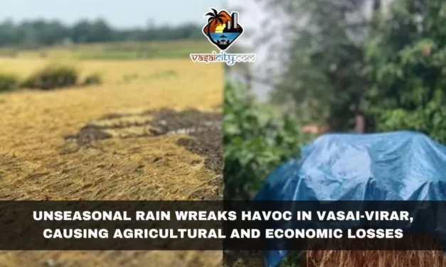 Unseasonal Rain Wreaks Havoc in Vasai-Virar, Causing Agricultural and Economic Losses
