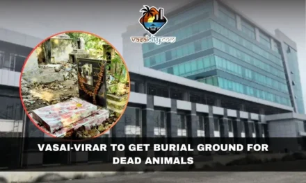 Vasai-Virar to Get Burial Ground for Dead Animals