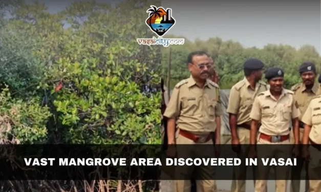 Vast Mangrove Area Discovered in Vasai